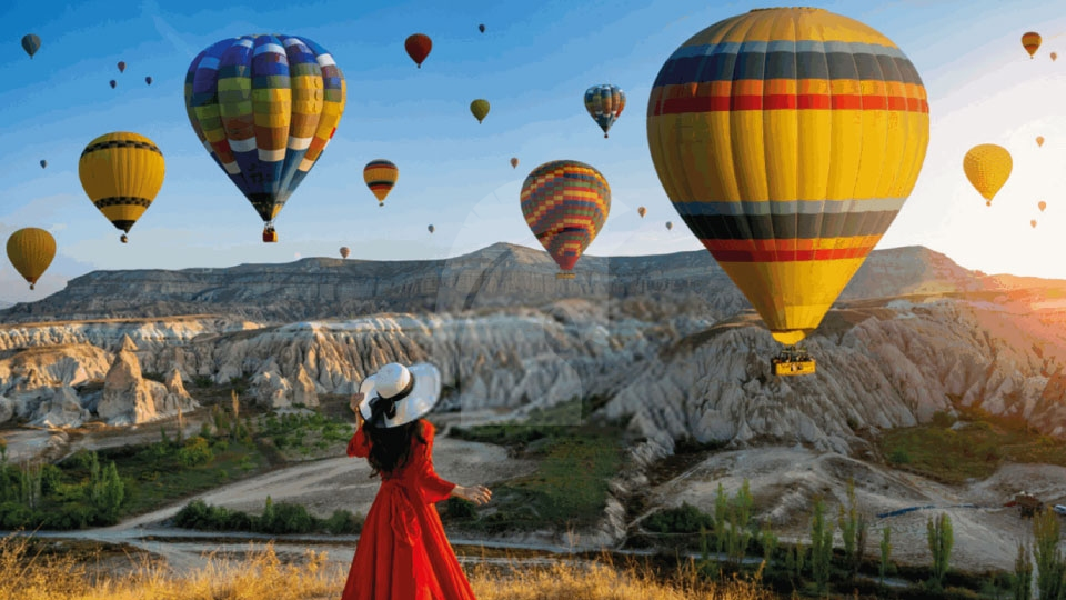 Private Tours